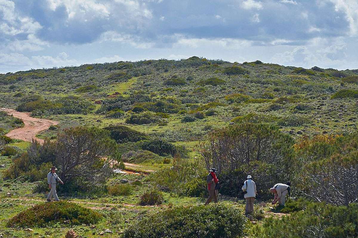 Botanisieren in herrlicher Landschaft, (c) Stefan Munzinger