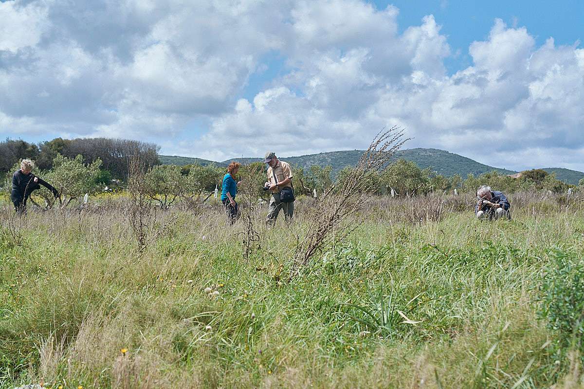 Naturbegeisterte auf der Suche nach Orchideen, (c) Stefan Munzinger