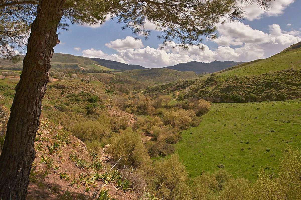 Herrliche Landschaft in Zentralsizilien, (c) Stefan Munzinger