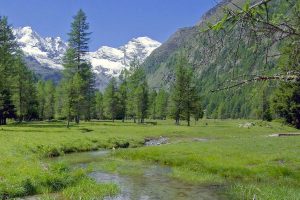 Flusslandschaft im Nationalpark Gran Paradiso, (c) Sergio Cerrato – Italia/Pixabay