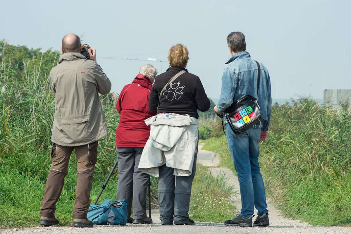 Naturgucker*innen in den Rohrwiesen