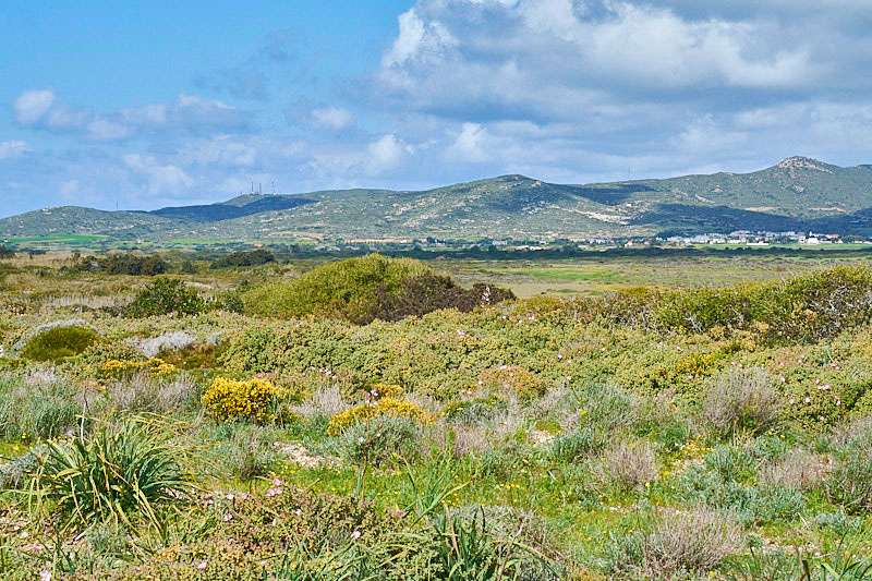 Landschaft bei Kattavia auf Rhodos, (c) Stefan Munzinger/NABU-naturgucker.de