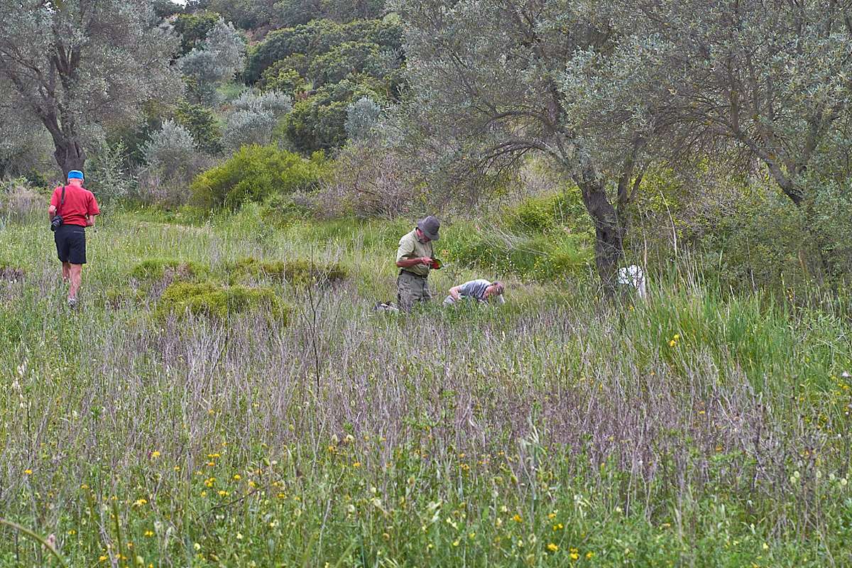 Gemeinsames Botanisieren auf Chios