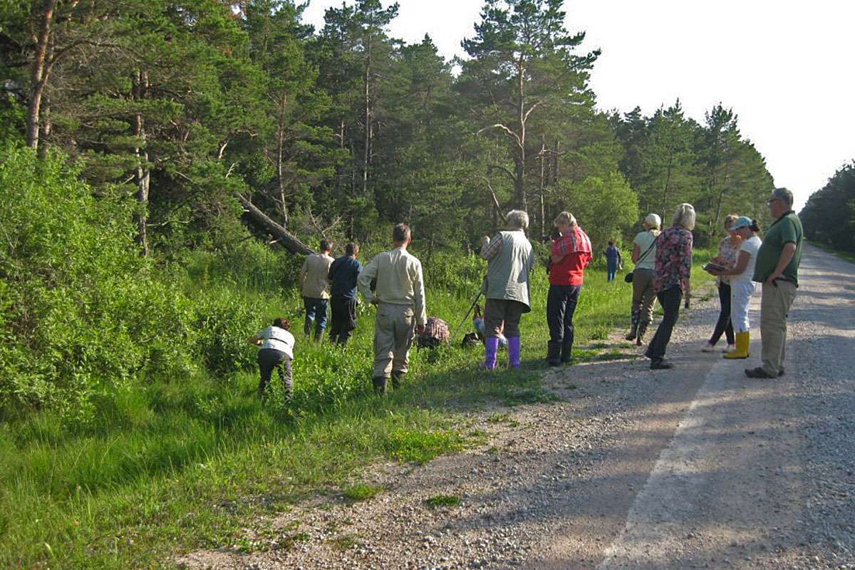 Gemeinsames Botanisieren in Estland, (c) Johannes Wagner