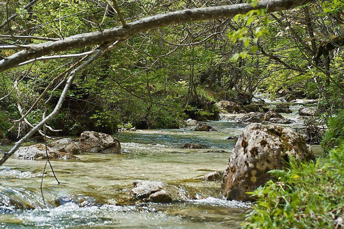 Gewässer in der Riserva naturale La Camosciara, (c) Stefan Munzinger