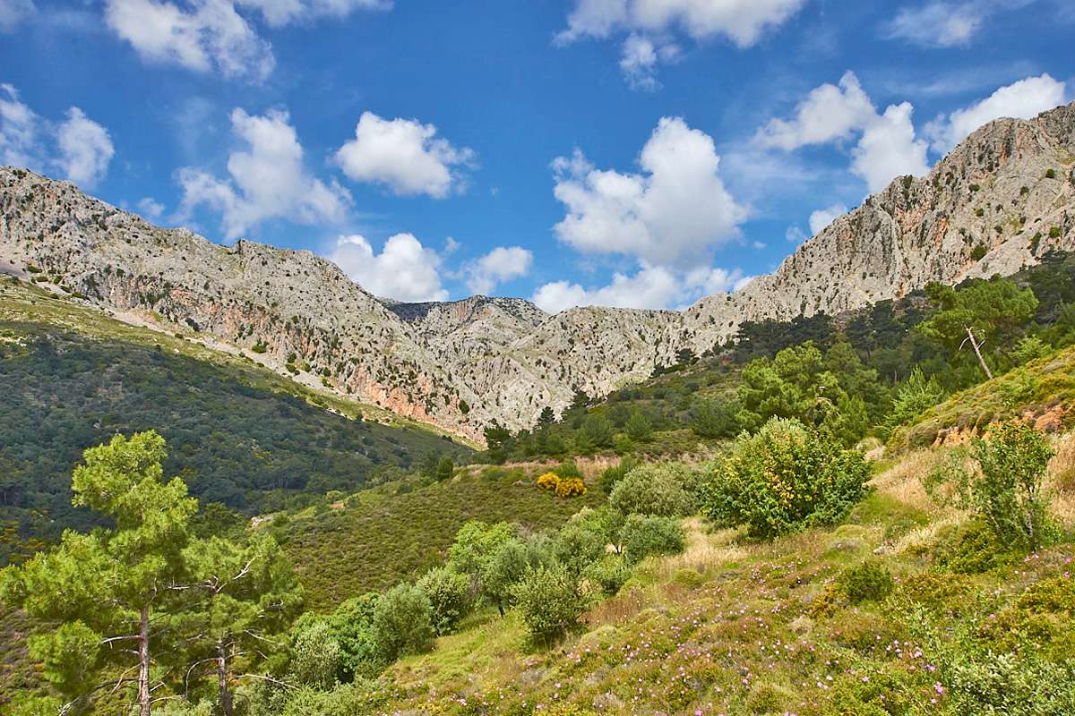 Ein typischer Orchideen-Fundort auf Chios, (c) Stefan Munzinger/NABU-naturgucker.de