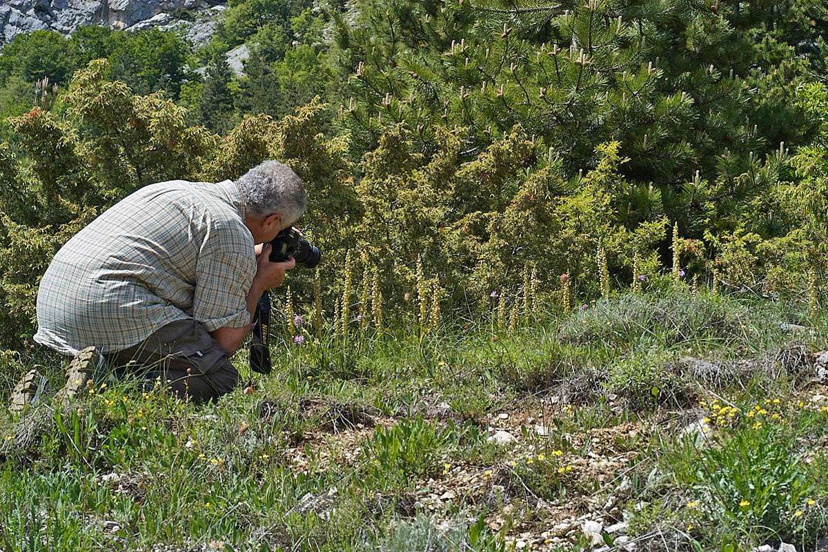 Die artenreiche Natur der Abruzzen bietet zahllose schöne Fotomotive, (c) Stefan Munzinger