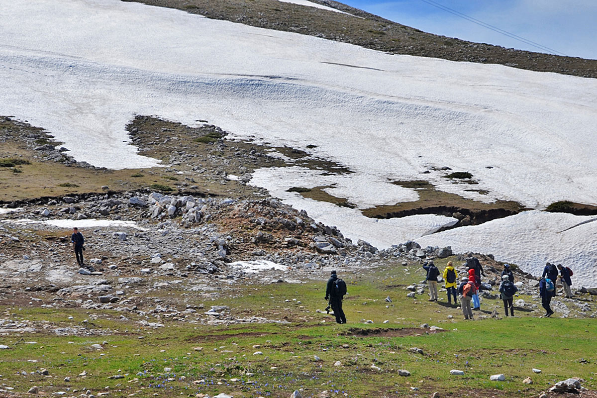 Beobachten im Gebirge, (c) Dr. Alexander Wirth