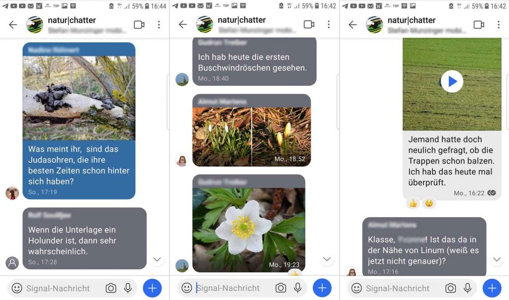 Einblicke in natur|chatter, die Signal-Gruppe von NABU|naturgucker
