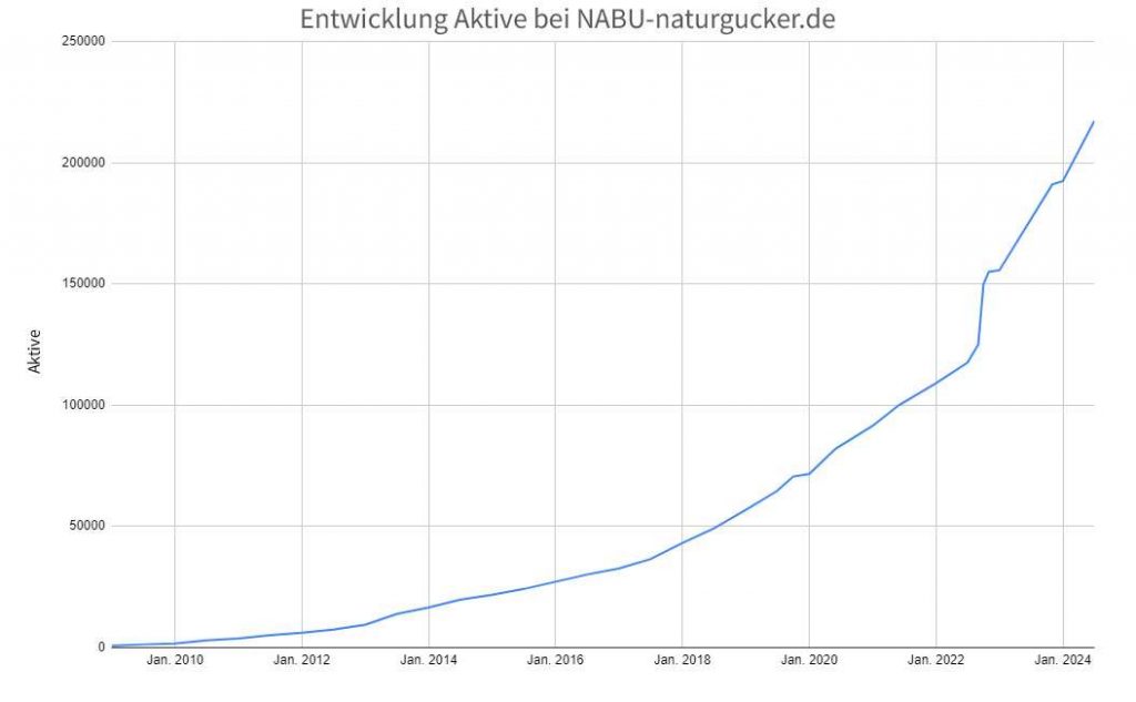 Entwicklung der Anzahl aktiver Nutzer*innen auf dem Meldeportal vom Start der Plattform bis Anfang 2024