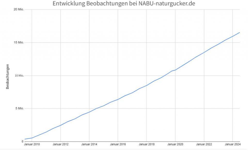 Entwicklung der Anzahl der auf dem Meldeportal gemeldeten Beobachtungen vom Start bis Anfang 2024