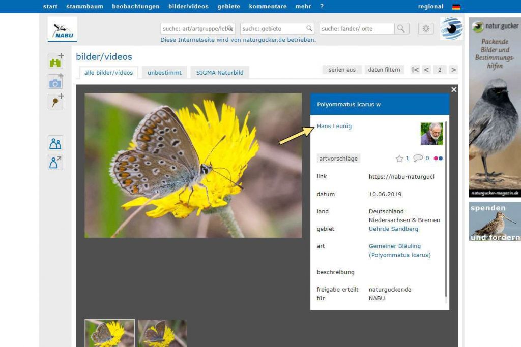 Urheberrechtskennzeichnung eines Fotos auf dem Meldeportal von NABU|naturgucker