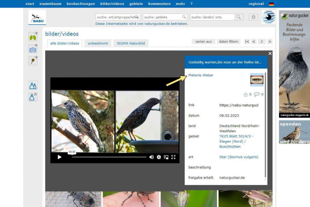 Urheberrechtskennzeichnung eines Videos auf dem Meldeportal von NABU|naturgucker