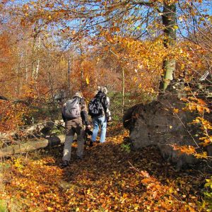 Unter der Leitung des Parkführers fanden wir auch im dichten Unterholz unseren Weg, (c) Gaby Schulemann-Maier