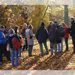 Pilzexkursion im Wilhelmshöher Bergpark, (c) Jutta Pfetzing