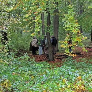 Sowohl im Offenland als auch im Wald gab es viel zu sehen, (c) Stefan Munzinger