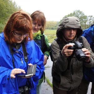 Per Kamera und naturgucker-App wurde vor Ort alles Gesehene sofort dokumentiert, (c) Carolin Zimmermann