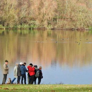 Fachsimpeln am Gewässerufer mit Enten im Hintergrund, (c) Carolin Zimmermann