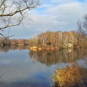 Herbst in der Fuldaaue in Kassel, (c) Gaby Schulemann-Maier