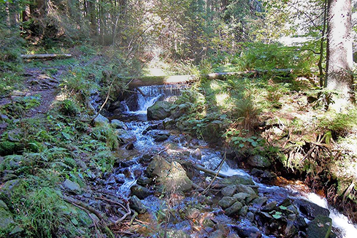 Gebirgsbach im Naturpark Bayerischer Wald