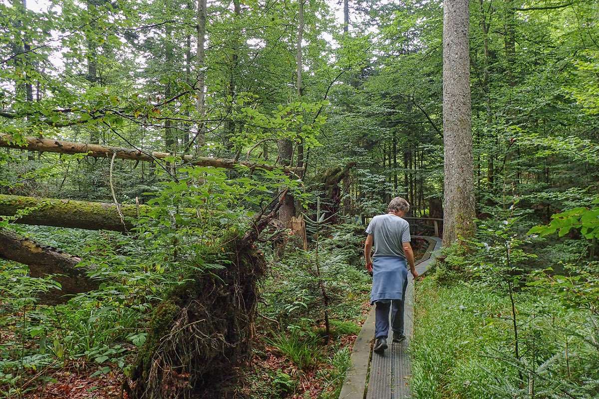 Teilstück des Seelensteigs im Bayerischer Wald