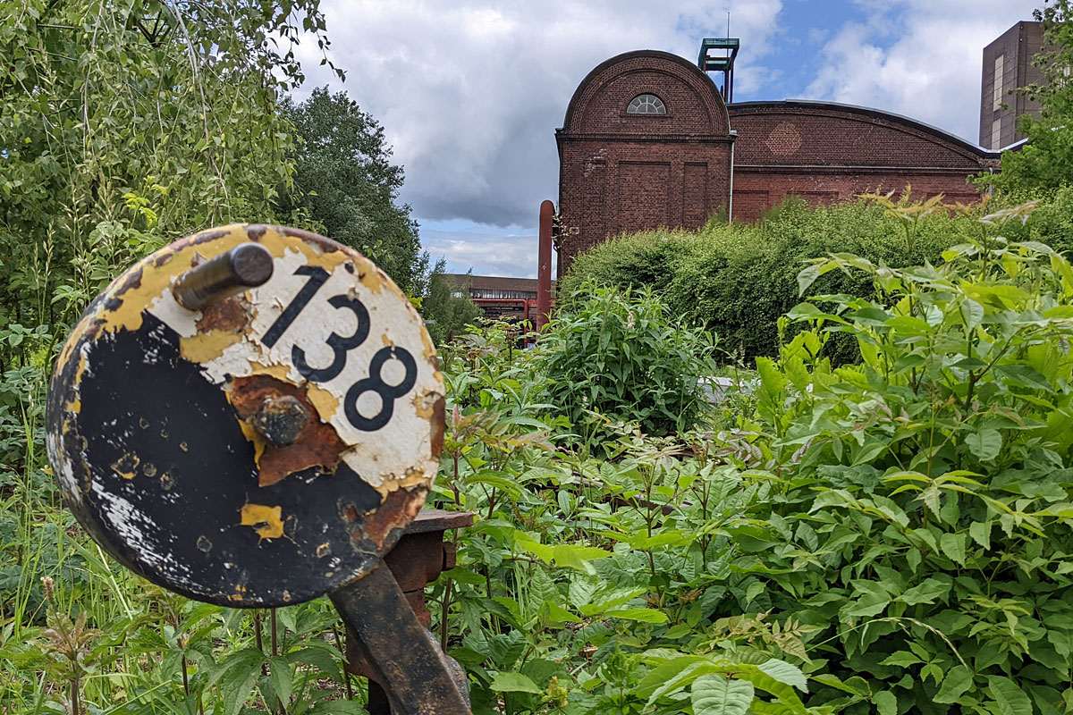 Pflanzen haben ein ehemaliges Bahngleis zurückerobert, (c) Gaby Schulemann-Maier