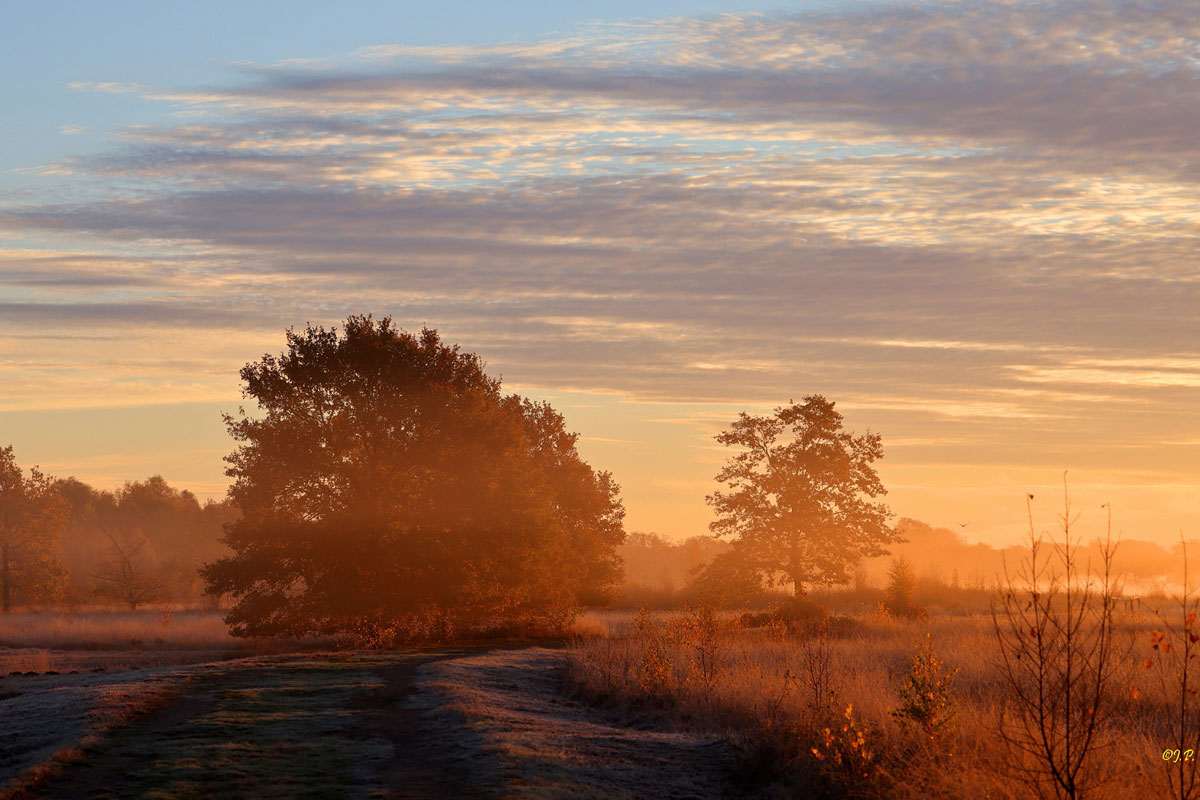 Landschaft im Großen Torfmoor, (c) Jürgen Podgorski/NABU-naturgucker.de