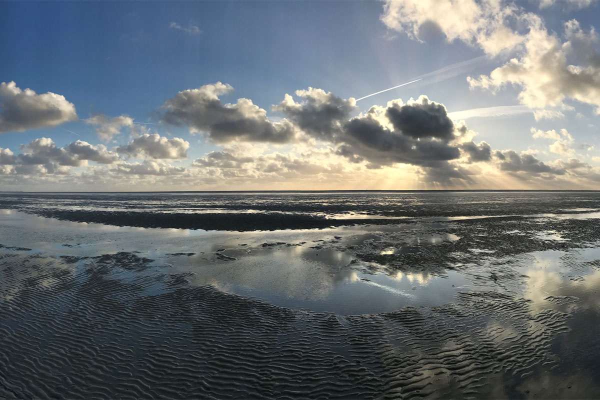 Landschaft in Harlingen, (c) Nicola Glaser/NABU-naturgucker.de