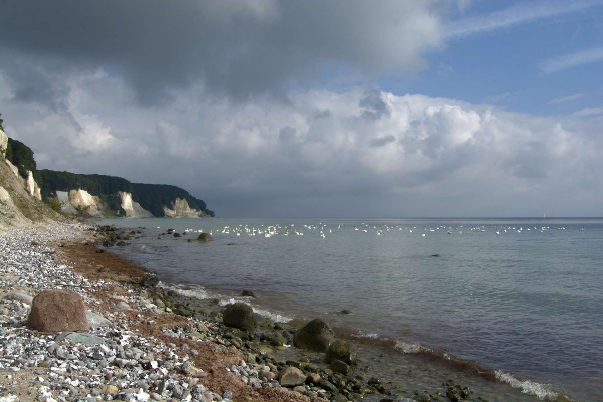 Landschaft im Nationalpark Jasmund, (c) Bettina Gibas/NABU-naturgucker.de