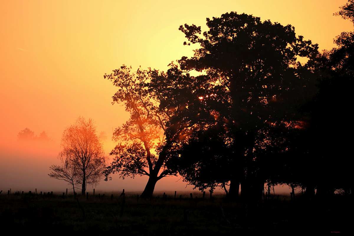 Sommer-Sonnenaufgang, (c) Jürgen Podgorski/NABU-naturgucker.de