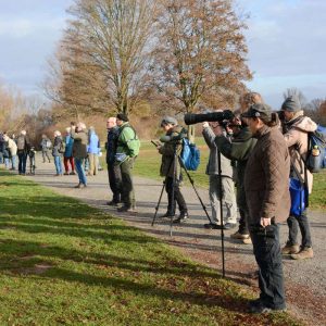 Viele Augen sehen viel – die Naturgucker*innen in der Fuldaaue bei der „Arbeit“, (c) Stella Mielke