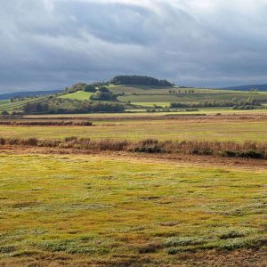 Blick in die Leinepolder von Einbeck-Salzderhelden aus, (c) Gaby Schulemann-Maier