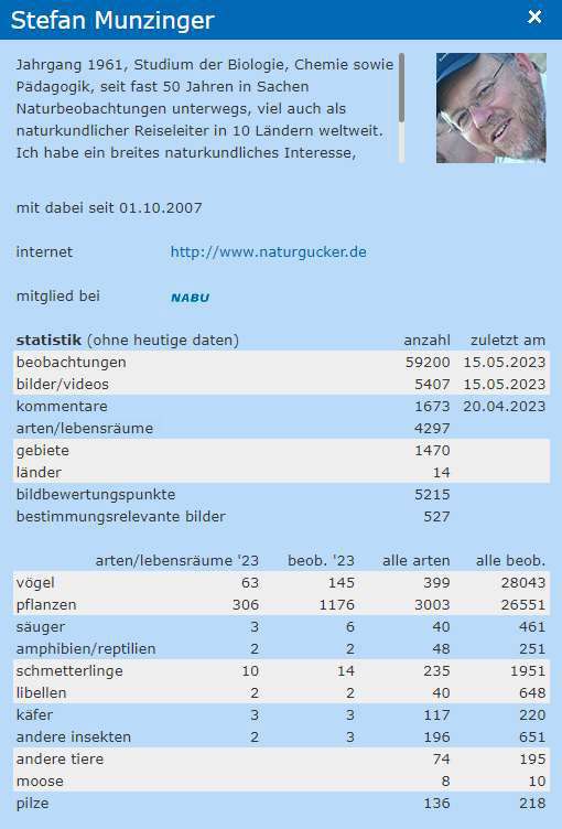 Profil eines Beobachters mit dessen persönlicher Statistik