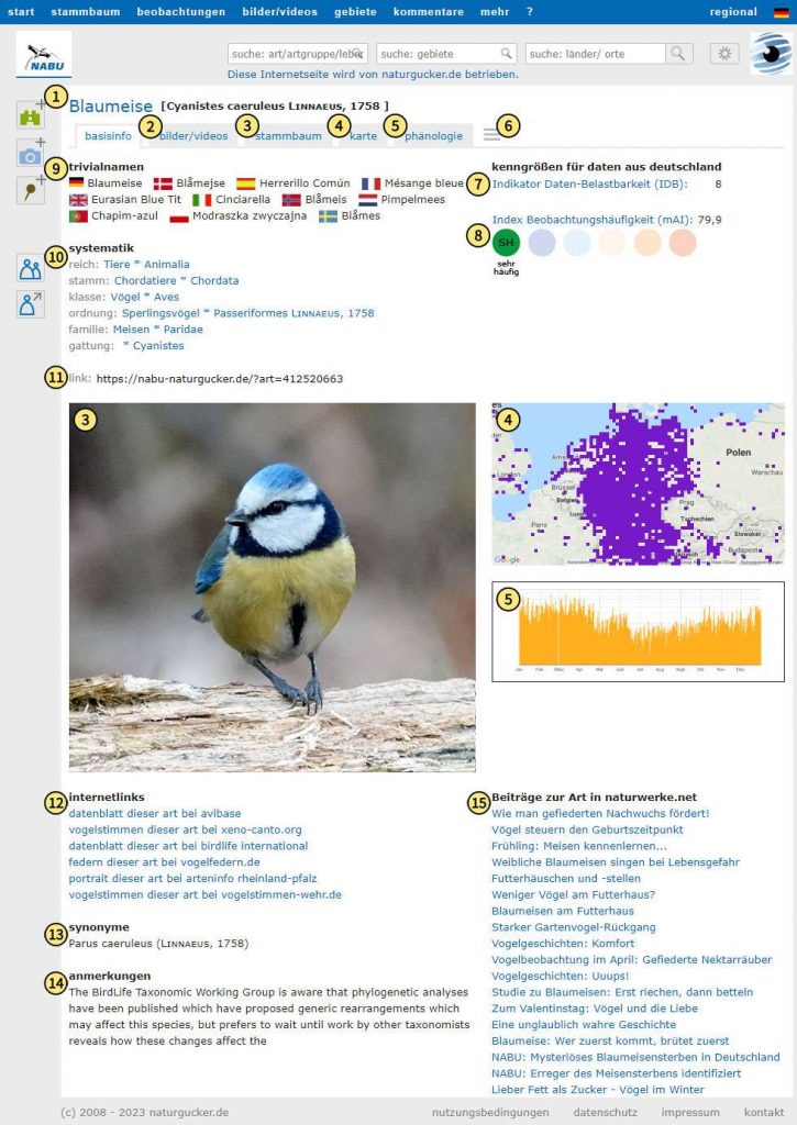 Basisinformationen in einem Artporträt auf dem Meldeportal von NABU|naturgucker