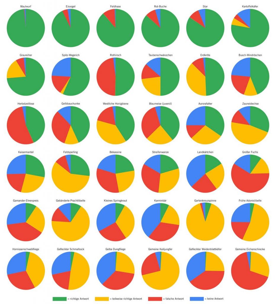 Tortendiagramme der Antworten zu den einzelnen Arten bei arten|pisa 2019