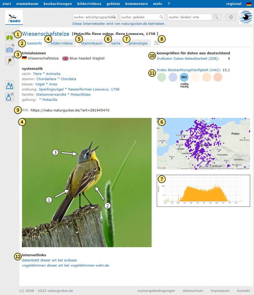 Basisinformationen im Porträt Subtaxa