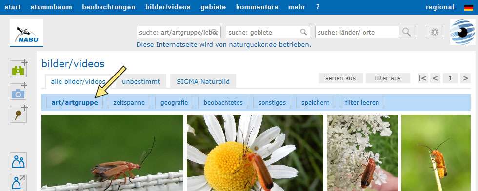 Aktive Filterkategorien werden in der Filterleiste fett dargestellt