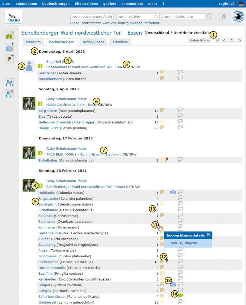 Beobachtungsliste im Gebietsporträt