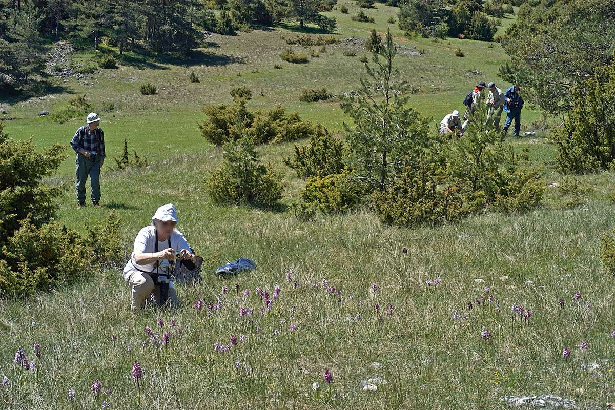 Reisende im Gelände, (c) Stefan Munzinger/NABU-naturgucker.de