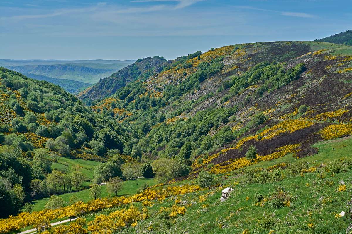 Malerische Landschaft am Mont Aigoual, (c) Stefan Munzinger/NABU-naturgucker.de