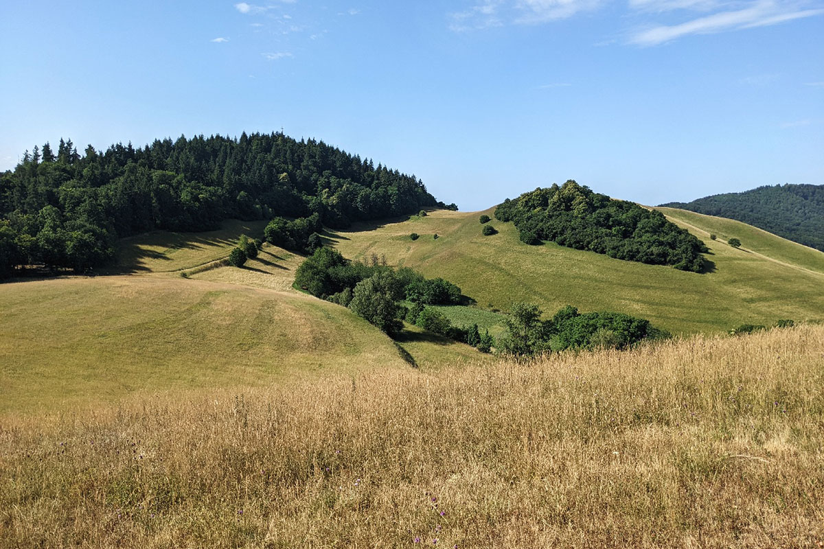 Der Badberg bei Vogtsburg im Kaiserstuhl, (c) Dr. Mareike Possienke