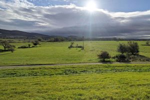 Für kurze Zeit ließ sich sogar die Sonne über den Leinepoldern blicken, (c) Gaby Schulemann-Maier