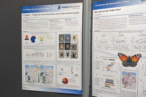 Poster zu den aktuellen Forschungsthemen von NABU|naturgucker, (c) Gaby Schulemann-Maier