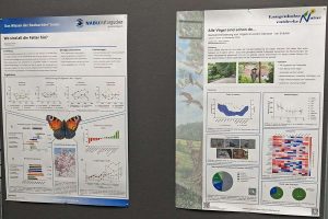 Poster des Projektes ‚Langenholzen – Natur entdecken‘ und eines unserer Forschungsposter, (c) Gaby Schulemann-Maier