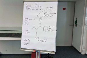 Ergebnis des live vorgef&uuml;hrten Nature Journaling von Lisa Theismann, (c) Gaby Schulemann-Maier
