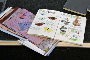 Auch so kann Nature Journaling aussehen &ndash; Lisa Theismann hat Ansichtsmaterial mitgebracht, (c) Ina Siebert