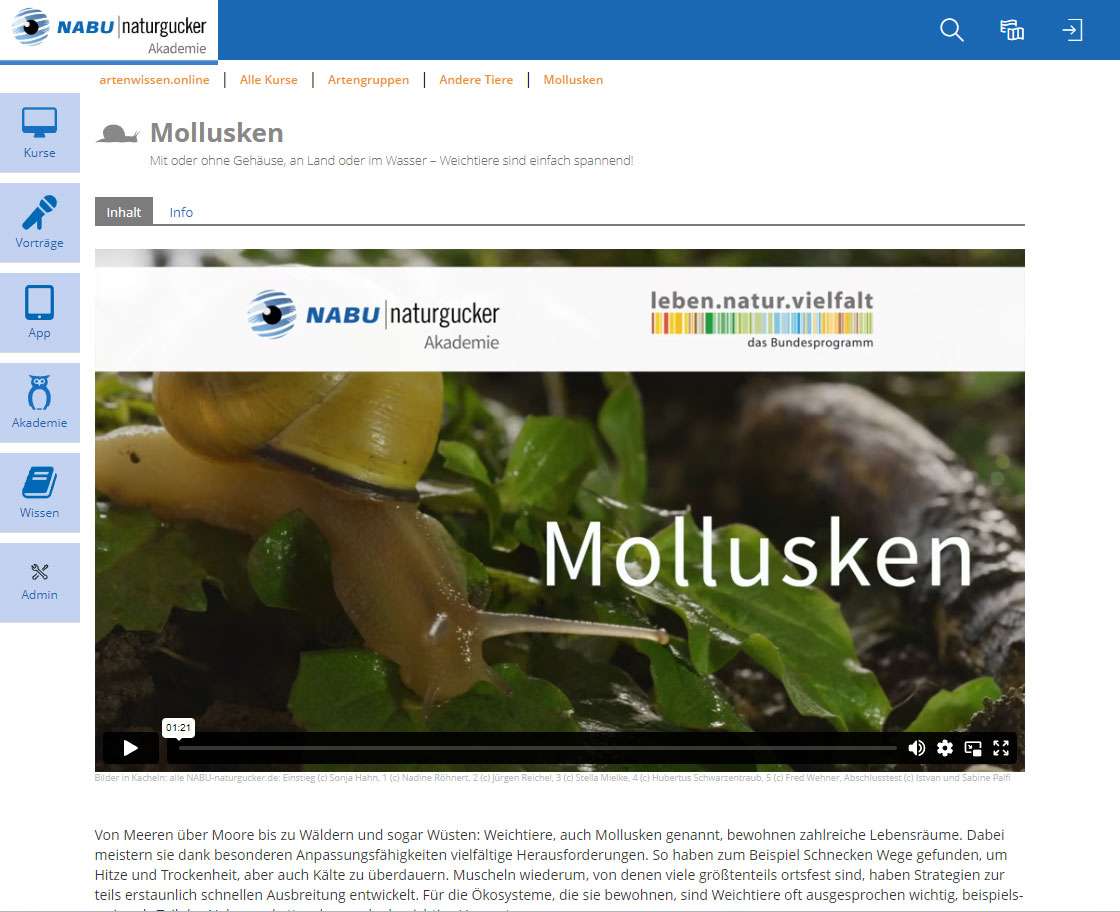 Startseite des Lernthemas Mollusken der NABU|naturgucker-Akademie