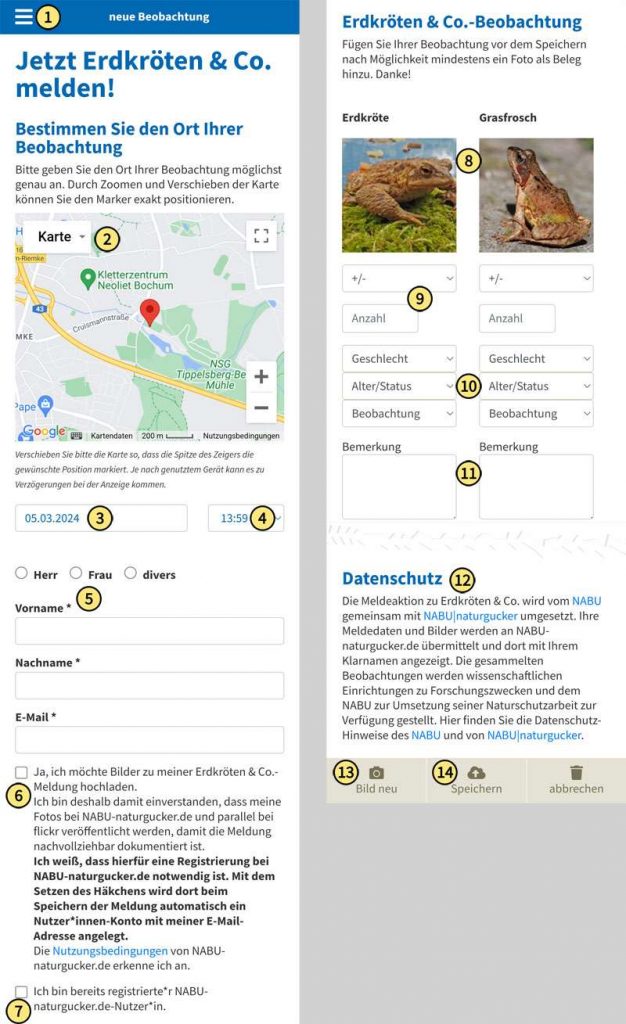 Neue Beobachtung mit bebildertem Formular auf der Aktionsseite NABU Kröten & Co. erfassen