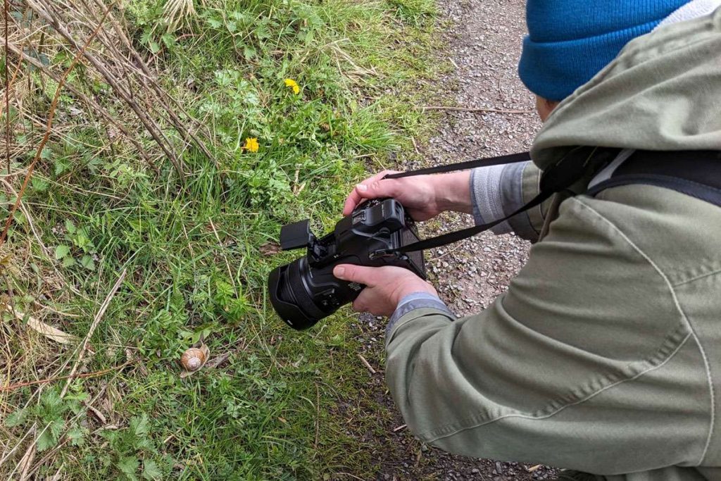 Anfertigen eines Fotobelegs zur Schneckenbeobachtung, (c) Gaby Schulemann-Maier