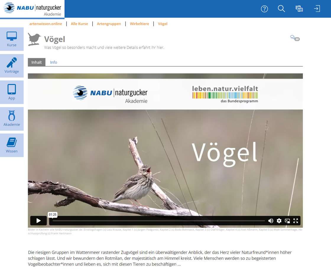 Lernthema Vögel der NABU|naturgucker-Akademie